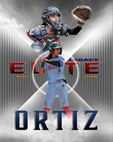 2023 Silver Poster Elite Poster $80.00, Text Photographer Includes Frame
