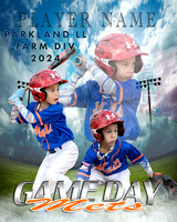 2024 Game-Day-Main Farm Mets 16x20 Framed Poster $85