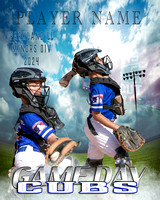 2024 Game-Day-Main Minors Cubs 16x20 Framed Poster $80