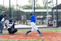 2025 PL 50 70 Yankees vs Blue Jays 4 2-7112