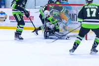 2025 TSG Michigan Southeast Elite Hockey vs Team Saskatchewan 5 9 940AM-5573
