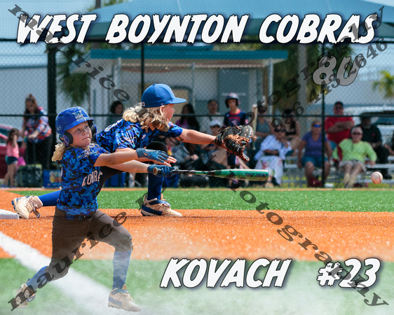 2023 16x20 Poster, Includes Frame, $80, Game Action Text Photographer