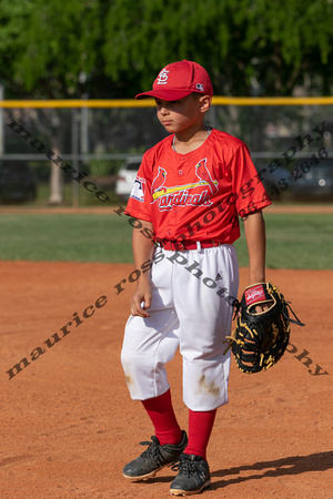 2023 Parkland LL CP Sox vs Cardinals 5-10 530PM-9140
