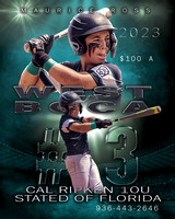 2023 Cal Ripken 10 State Tournament A Sample