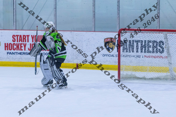 2025 TSG Michigan Southeast Elite Hockey vs Team Saskatchewan 5 9 940AM-5652