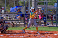 2023 Cal Rip 10U Game 2 Cape American vs Citrus Park-0447