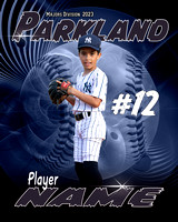 2023 Parkland Majors Braves vs Yankees 5/15 7PM Terramar