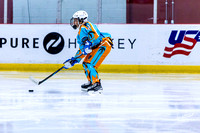 2025 Michigan Elite Hockey vs Pro Hockey 5 8 1230PM-3080