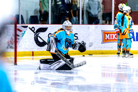 2025 Michigan Elite Hockey vs Pro Hockey 5 8 1230PM-3090