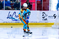 2025 Michigan Elite Hockey vs Pro Hockey 5 8 1230PM-3074