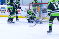 2025 TSG Michigan Southeast Elite Hockey vs Team Saskatchewan 5 9 940AM-5571