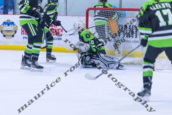 2025 TSG Michigan Southeast Elite Hockey vs Team Saskatchewan 5 9 940AM-5571