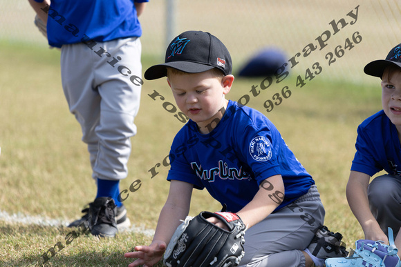 2025 CC 4U TBall Marlins Royal Blue vs Marlins White 2 22 10AM-9340