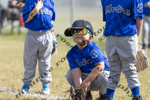 2025 CC 4U TBall Marlins Royal Blue vs Marlins White 2 22 10AM-9348