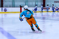 2025 Michigan Elite Hockey vs Pro Hockey 5 8 1230PM-3077