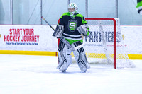2025 TSG Michigan Southeast Elite Hockey vs Team Saskatchewan 5 9 940AM-5579