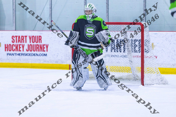 2025 TSG Michigan Southeast Elite Hockey vs Team Saskatchewan 5 9 940AM-5579