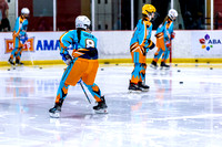 2025 Michigan Elite Hockey vs Pro Hockey 5 8 1230PM-3088