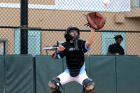 2024 Deerfield Beach LL Minors Iron Birds vs Blue Rocks 4 1-6598