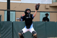 2024 Deerfield Beach LL Minors Iron Birds vs Blue Rocks 4 1-6599
