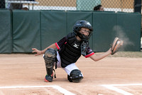 2024 Deerfield Beach LL Pre Minors Space Cowboys vs Storm 4 8-1261