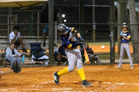 2025 Driftwood Dragons Baseball