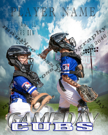 2024 Game-Day-Main Minors Cubs 16x20 Framed Poster $80