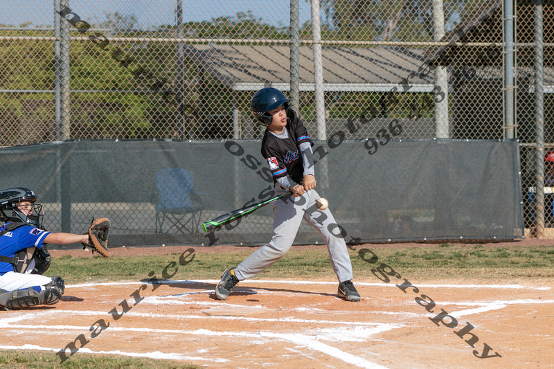 2024 Parkland Little League Minors Cubs vs Marlins 4 20-6714