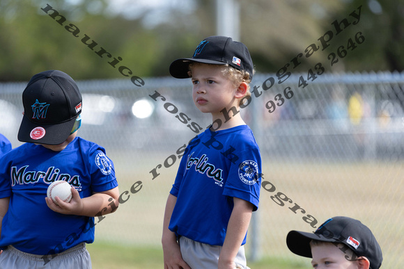 2025 CC 4U TBall Marlins Royal Blue vs Marlins White 2 22 10AM-9336