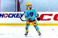 2025 Michigan Elite Hockey vs Pro Hockey 5 8 1230PM-3085