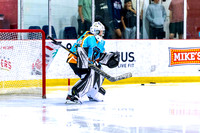 2025 Michigan Elite Hockey vs Pro Hockey 5 8 1230PM-3093