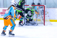 2025 TSG Michigan Southeast Elite Hockey vs Team Saskatchewan 5 9 940AM-5574
