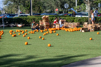 2024 DelRay Marketplace Trick or Treat 10 24-0052