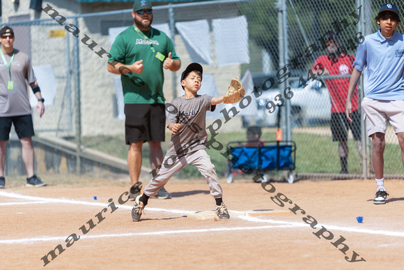 2025 CC 6U TBall Marlins Forest Green vs Graphite Marlins 3 1 130PM-1114